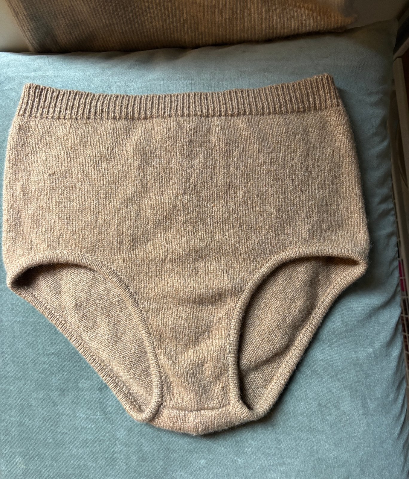 Phi -Cashmere Brief, Kleding | Dames, Bruin, Ophalen of Verzenden, Zo goed als nieuw, Maat 36 (S)