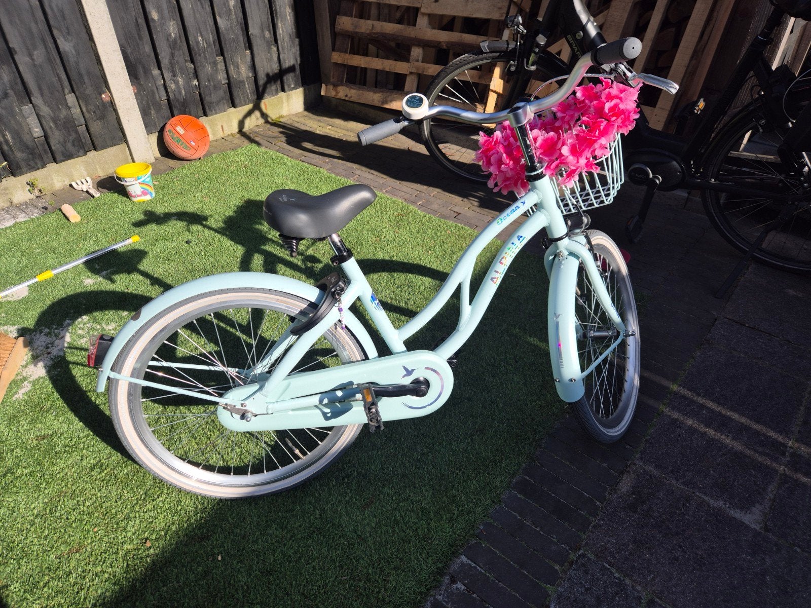 Alpina Ocean fiets 22 inch, Ophalen, Terugtraprem, 22 inch, Alpina
