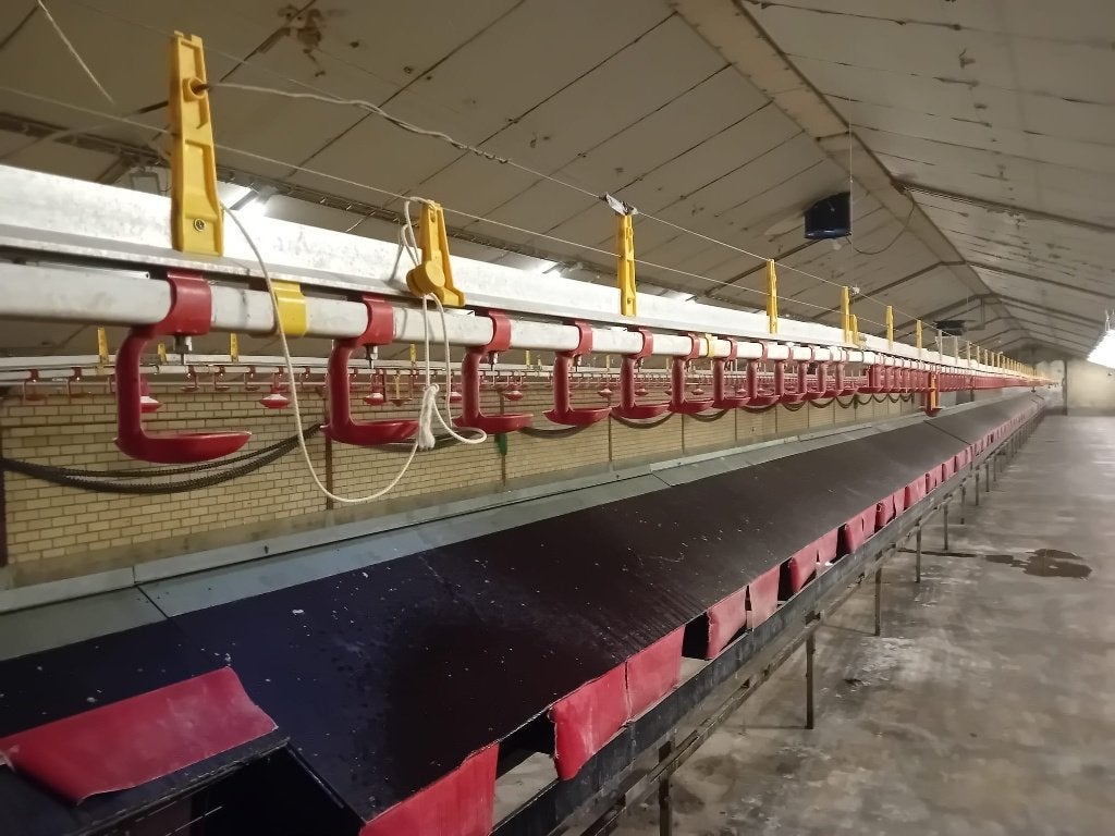 Stalinrichting kippen, Ophalen of Verzenden, Veehouderij, Overige typen
