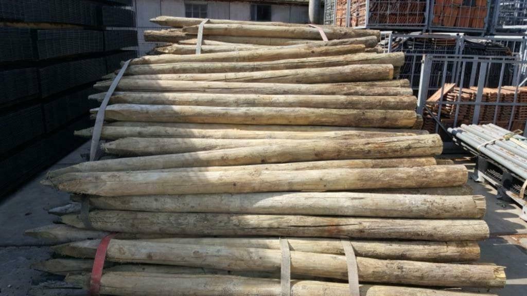 Weidepalen 3a 4 m lang, Weidegang