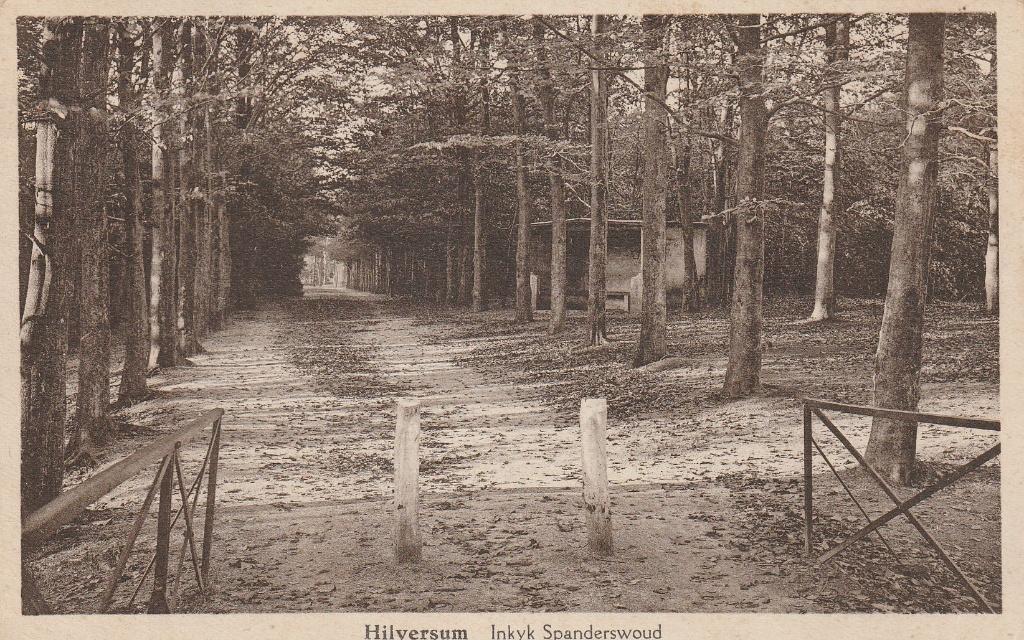 Hilversum, Ophalen of Verzenden, 1920 tot 1940, Gelopen, Noord-Holland