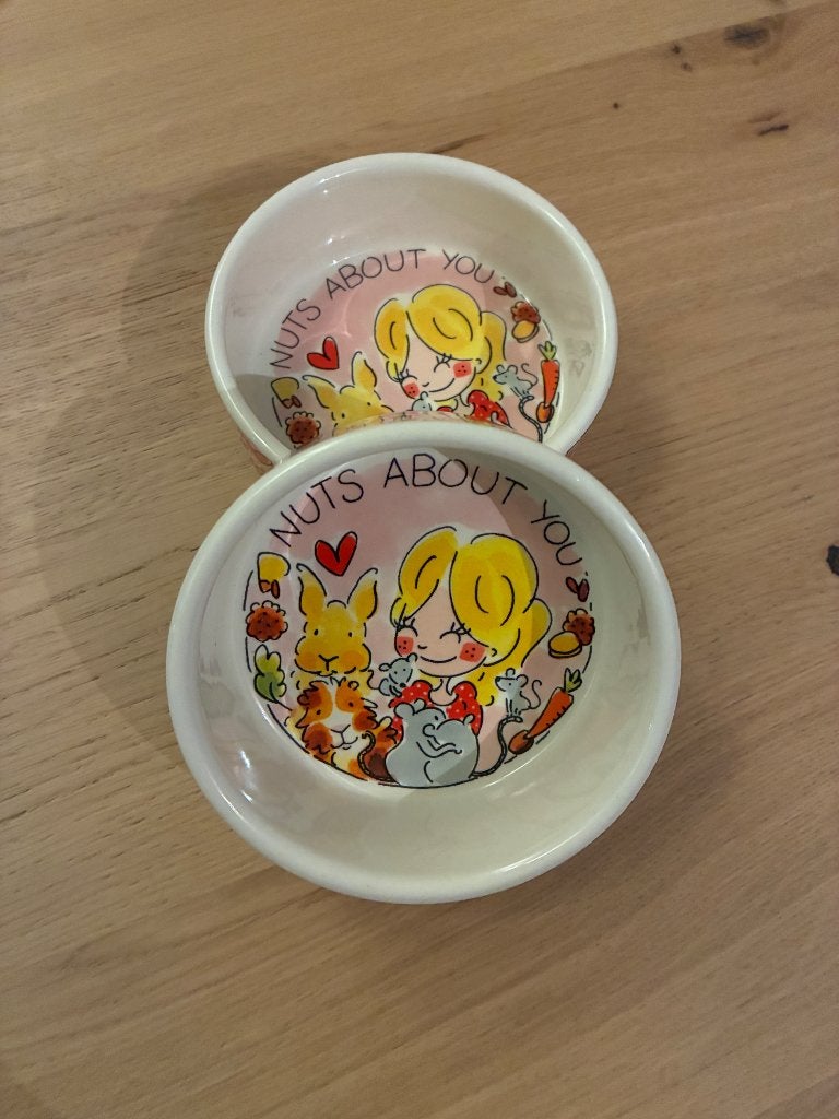 Voerbakjes blond Amsterdam, Dieren en Toebehoren, Ophalen, Zo goed als nieuw, Voerbakje