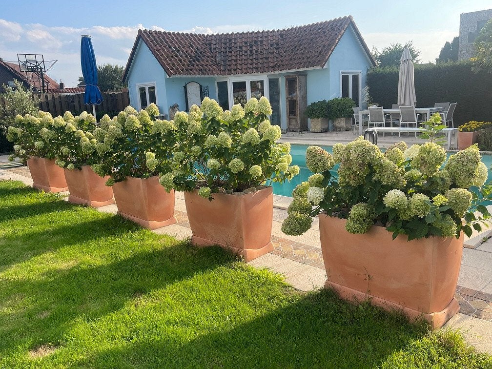 4x XXL kunststof plantenbak BLOEMBAK compleet met Limelights, Ophalen, Kunststof, Zo goed als nieuw, Balkon