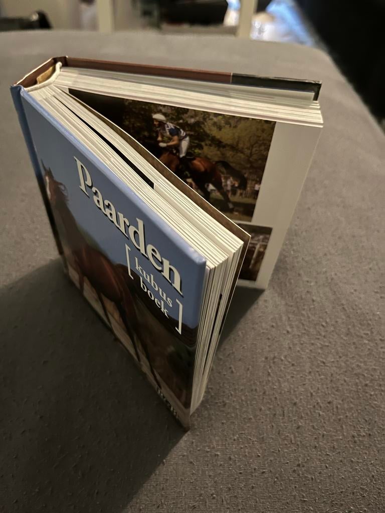 Paarden Kubus Boek - In goede staat, Ophalen of Verzenden, Zo goed als nieuw, Paarden of Pony's