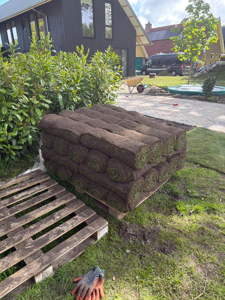 Graszoden 30m2 13 mei geleverd, goed nat gehouden!, Tuin en Terras, Gras en Kunstgras, Ophalen, Zo goed als nieuw, 20 m² of meer