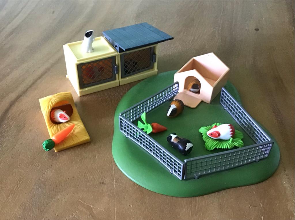Playmobil caviaverblijf met toebehoren, Verzenden, Gebruikt, Complete set