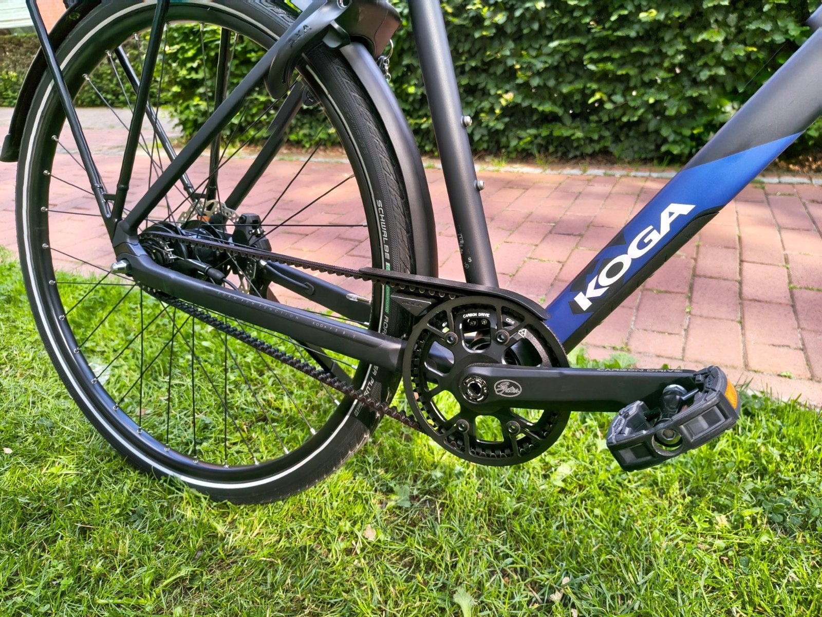 Koga F3 8.0 | Riem | Nieuw | Gates | H50 | €500 Korting!, 28 inch, Koga, Nieuw, 49 tot 53 cm