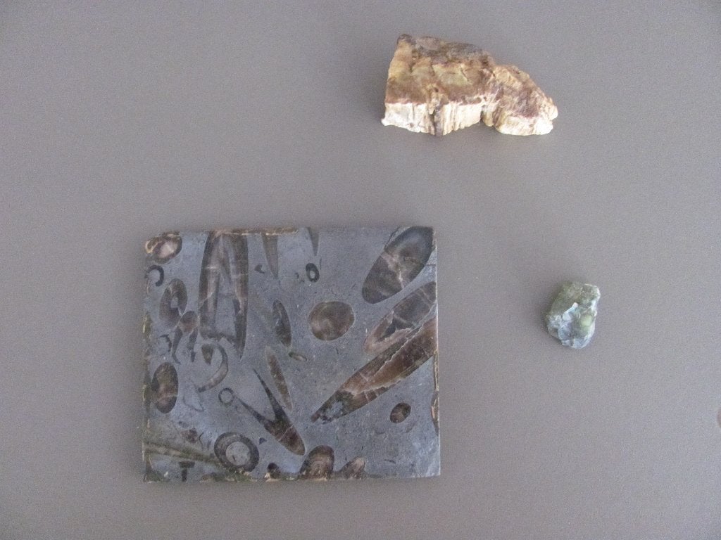 3 x fossiel, Ophalen of Verzenden, Fossiel