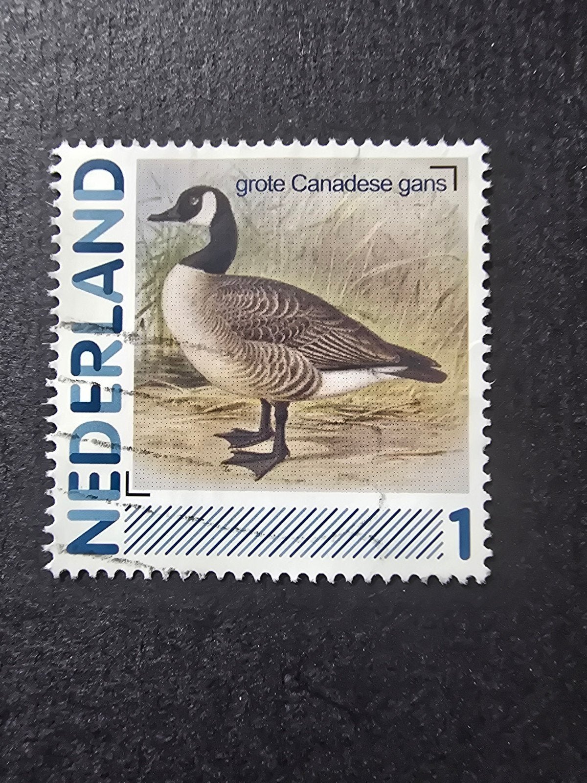 Persoonlijke Postzegel Nederland - Canadese Gans 2, Ophalen of Verzenden, Na 1940, Gestempeld