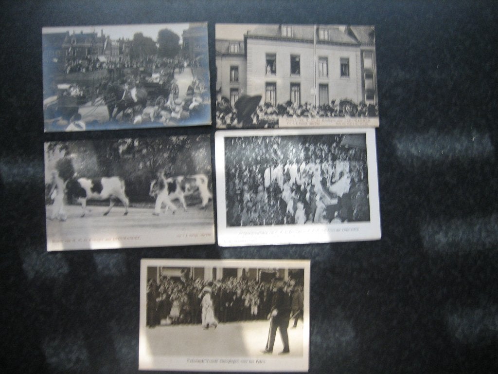 KONINKLIJKHUIS Nederland 55 stuks, Verzamelen, Ophalen of Verzenden, 1920 tot 1940, Waddeneilanden