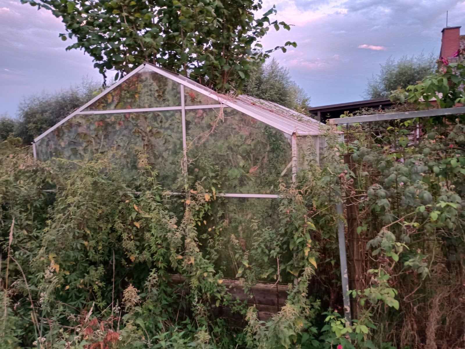 tuinkas, Tuin en Terras, Ophalen, Halfschaduw, Overige soorten, Lente