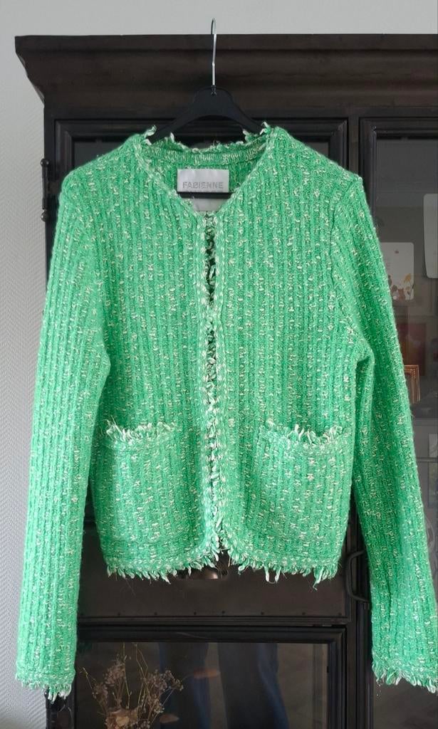 Fabienne Chapot gebreid vest / jasje maat L 40, Kleding | Dames, Maat 42/44 (L), Ophalen of Verzenden, Zo goed als nieuw, Fabienne Chapot