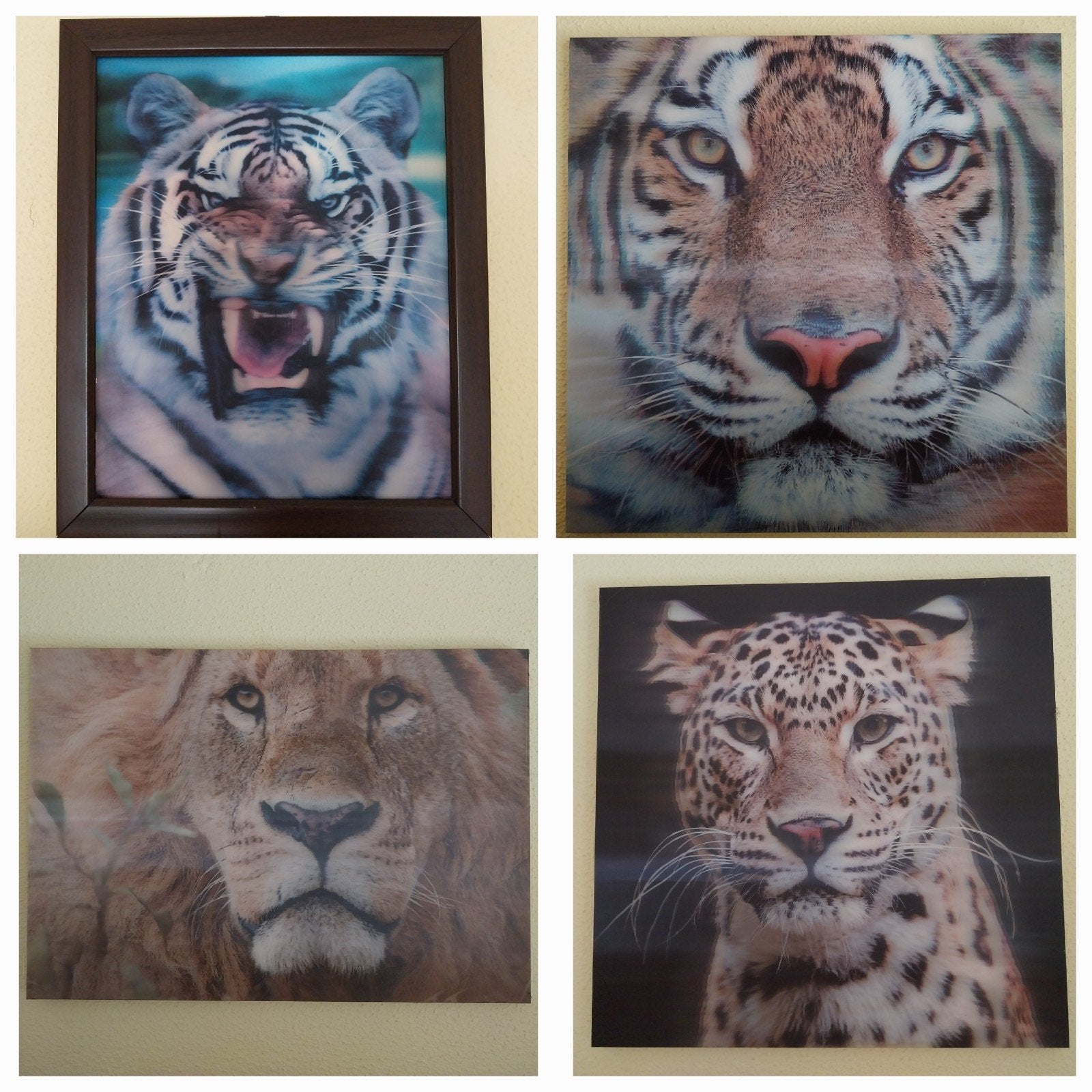 3D schilderij tijger leeuw panter luipaard poes kat, Minder dan 50 cm, Ophalen of Verzenden, Zo goed als nieuw, Schilderij