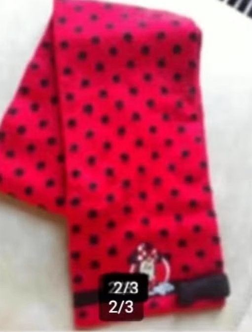 Meisjes shawl Disneyland rood/zwart., Ophalen of Verzenden, Zo goed als nieuw, Disneyland, Sjaal