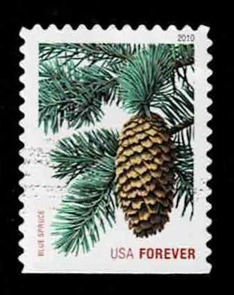 postzegel 4314 USA naaldboom Blauwe Spar, Ophalen of Verzenden, Gestempeld, Noord-Amerika