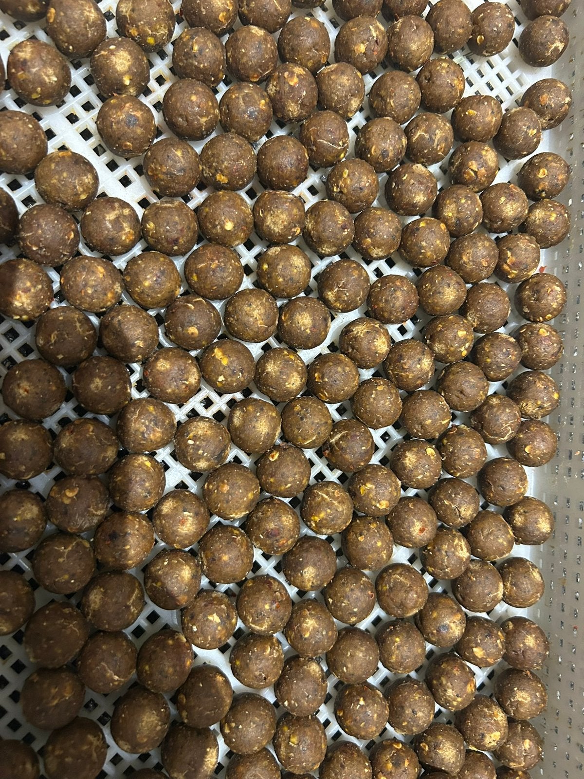 Spicey tuna boilie🐟🌶️🌶️🐟, Ophalen of Verzenden, Nieuw, Overige typen