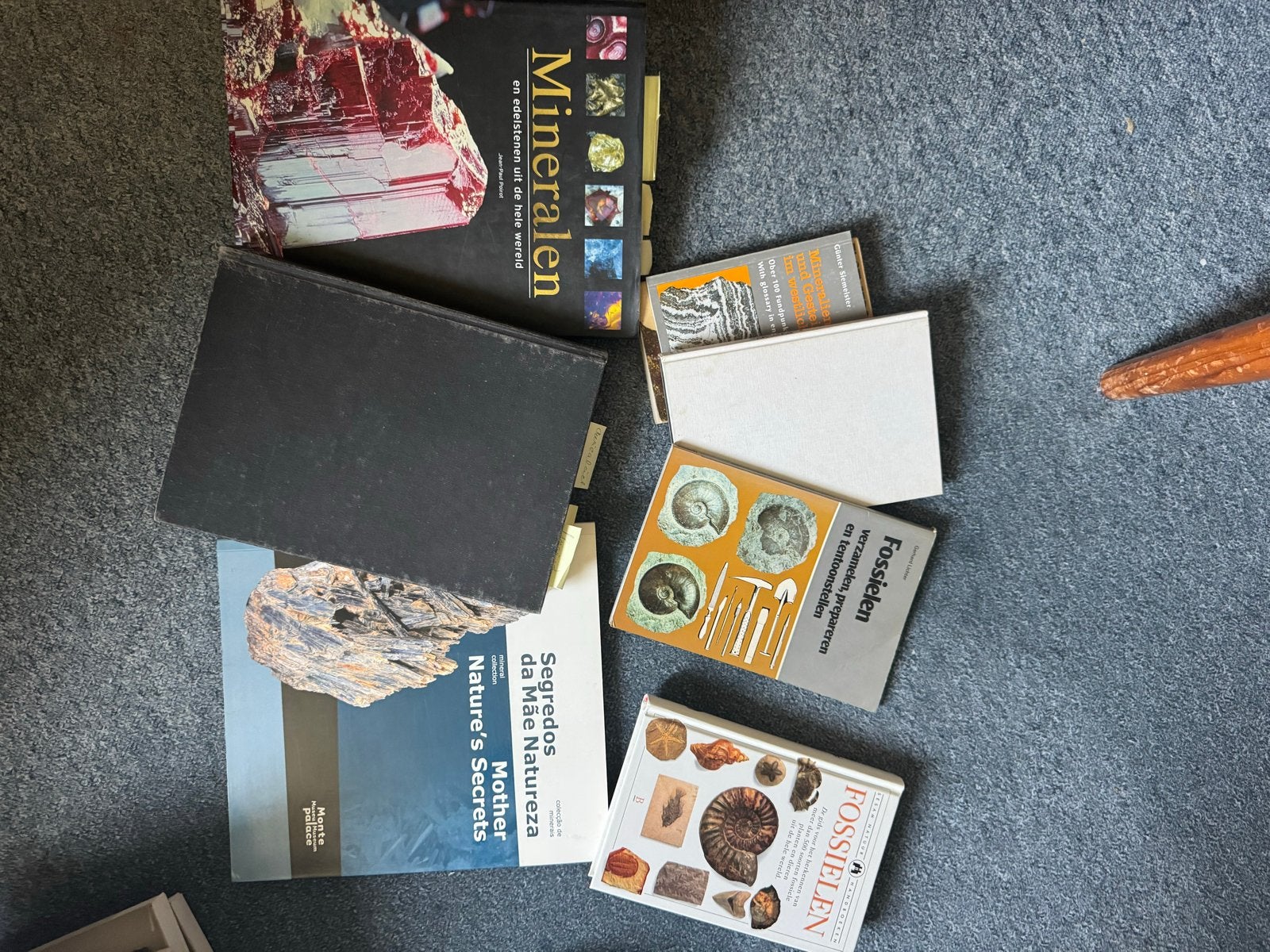 Boeken over fossielen en mineralen, Ophalen of Verzenden, Fossiel