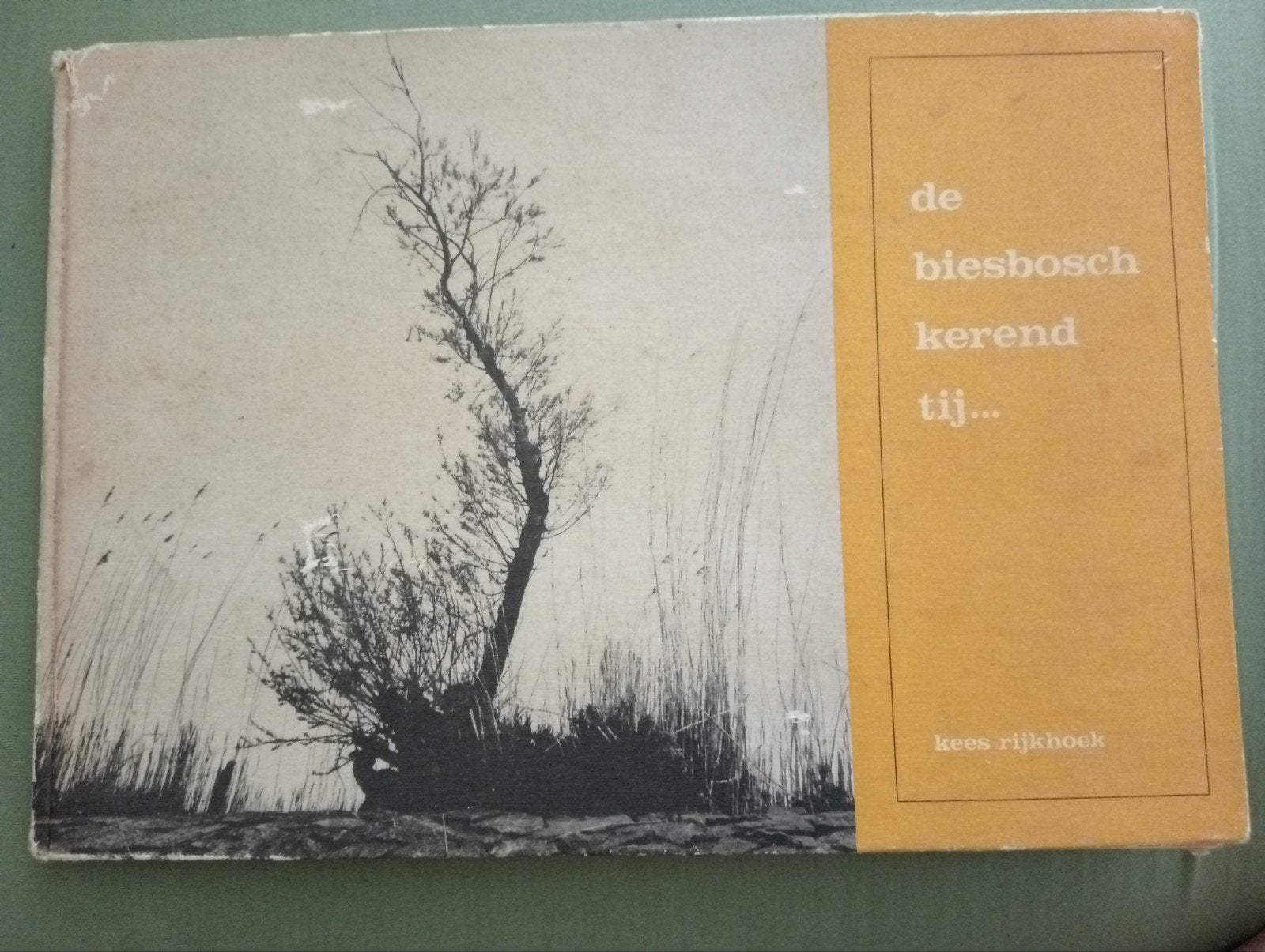 De Biesbosch, Kerend Tij - Kees Rijkhoek (1950), Ophalen of Verzenden, Gelezen, Kees Rijkhoek