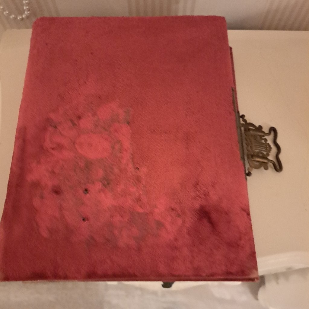 Vintage rood fluwelen fotoalbum met metalen sluiting, Ophalen