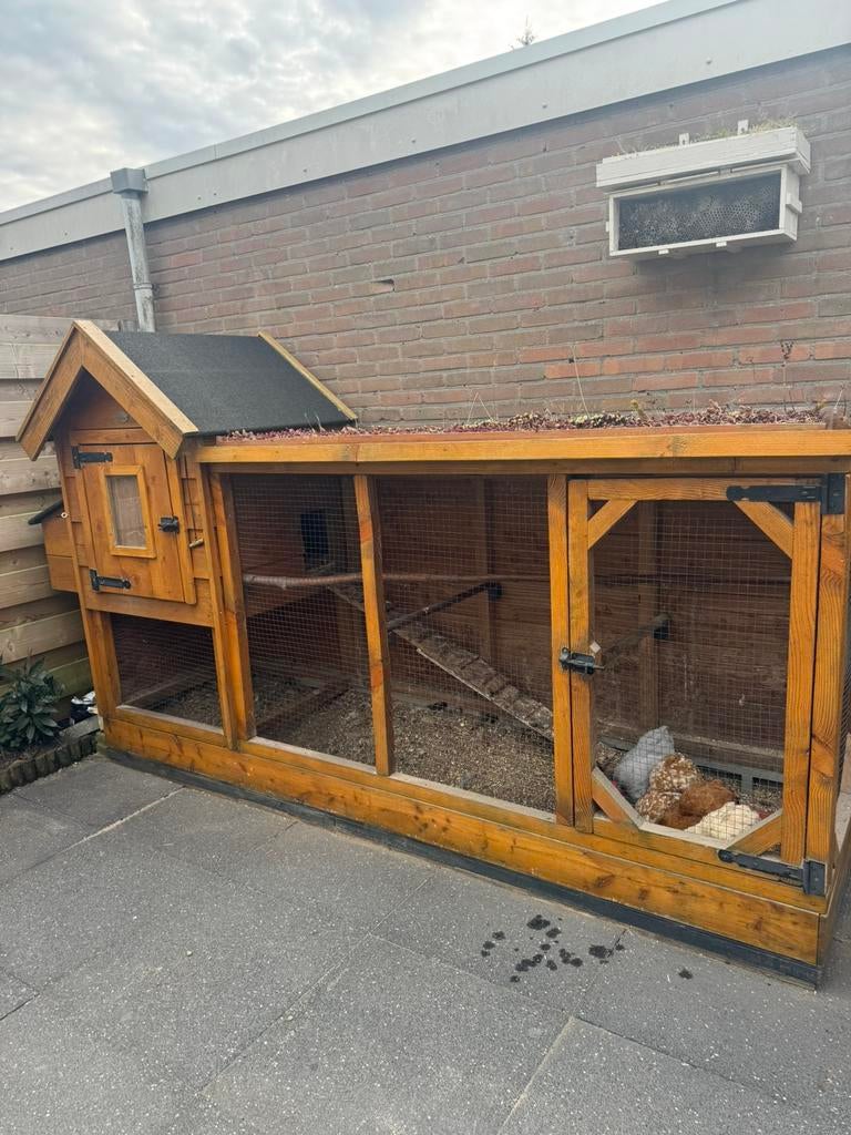 Douglashouten kippenhok 2,75 x 80, Dieren en Toebehoren, Pluimvee | Toebehoren, Ophalen, Zo goed als nieuw, Kippenhok of Kippenren