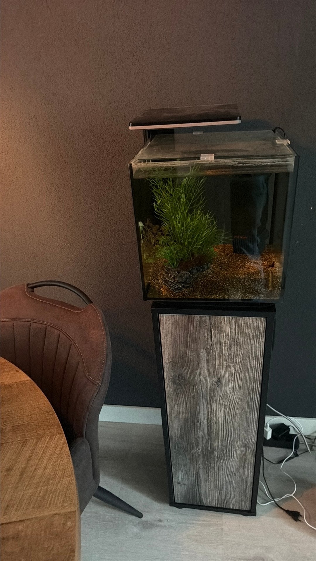 Leuker aquarium, Dieren en Toebehoren, Ophalen, Zo goed als nieuw