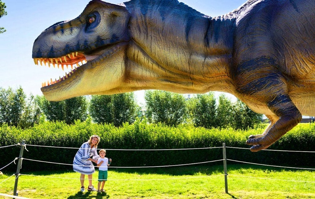 Dino Experience 2026 - Tickets - 1+1 GRATIS, Eén persoon, Overige typen