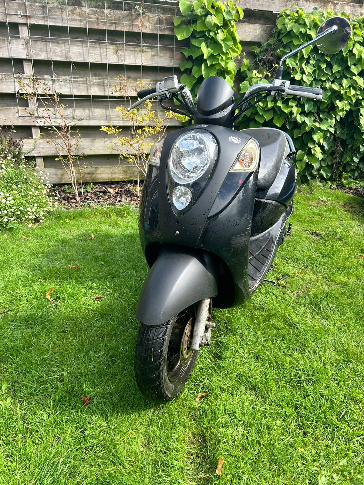 Sym Mio | brom | 50 cc, Gebruikt, Maximaal 45 km/u, Benzine, 50 cc