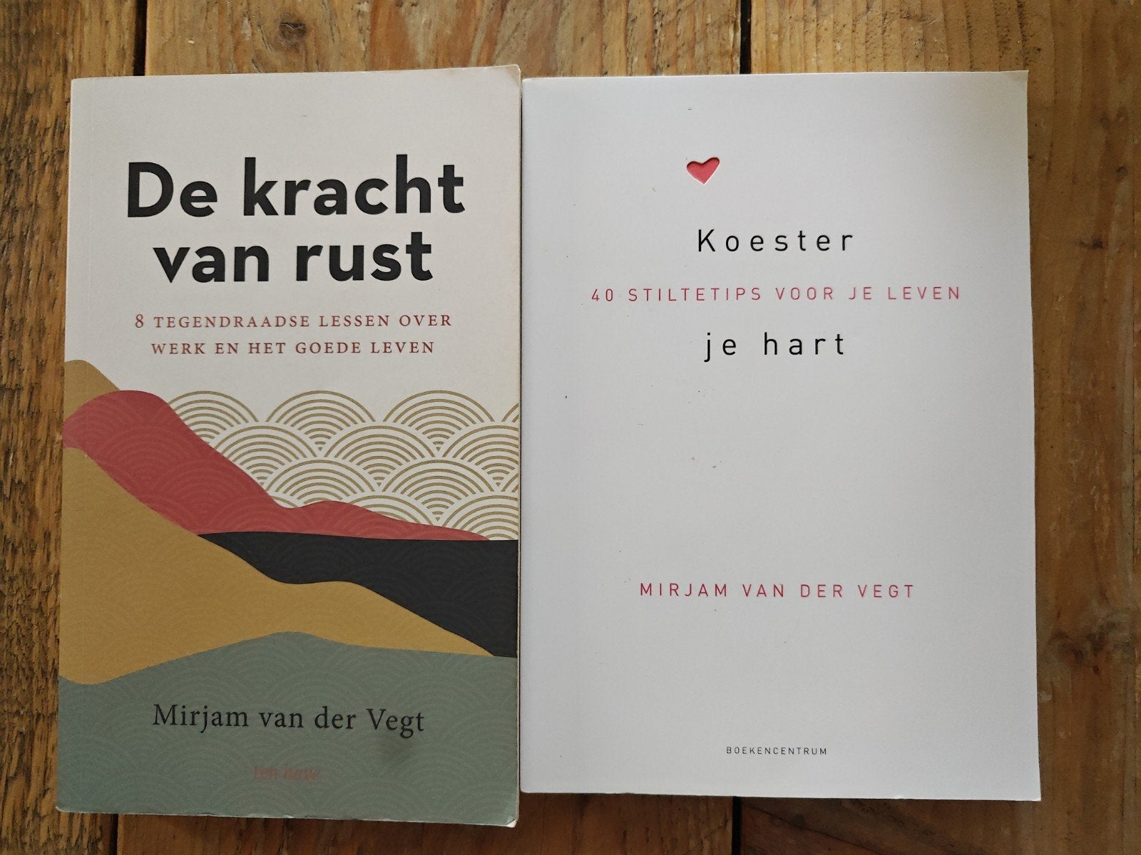2 Boeken van Mirjam van der Vegt., Ophalen of Verzenden, Zo goed als nieuw