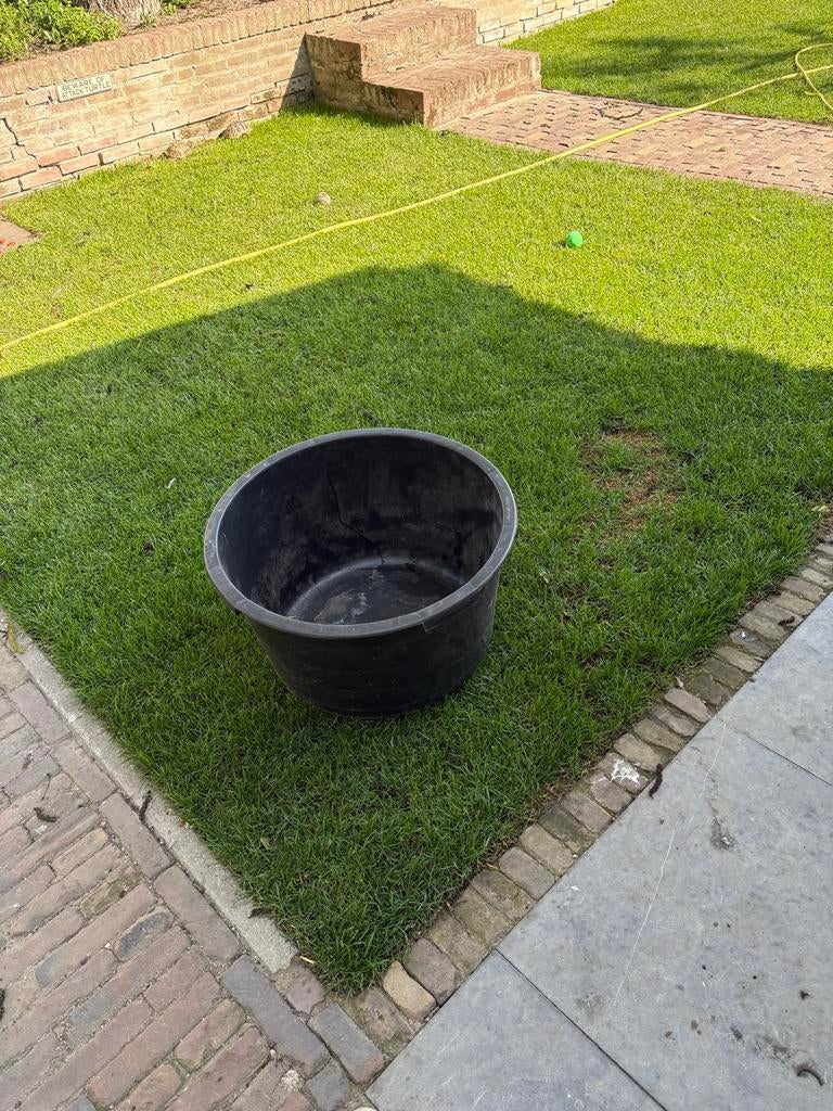 Speciekuip 65 liter, Ophalen of Verzenden, Zo goed als nieuw