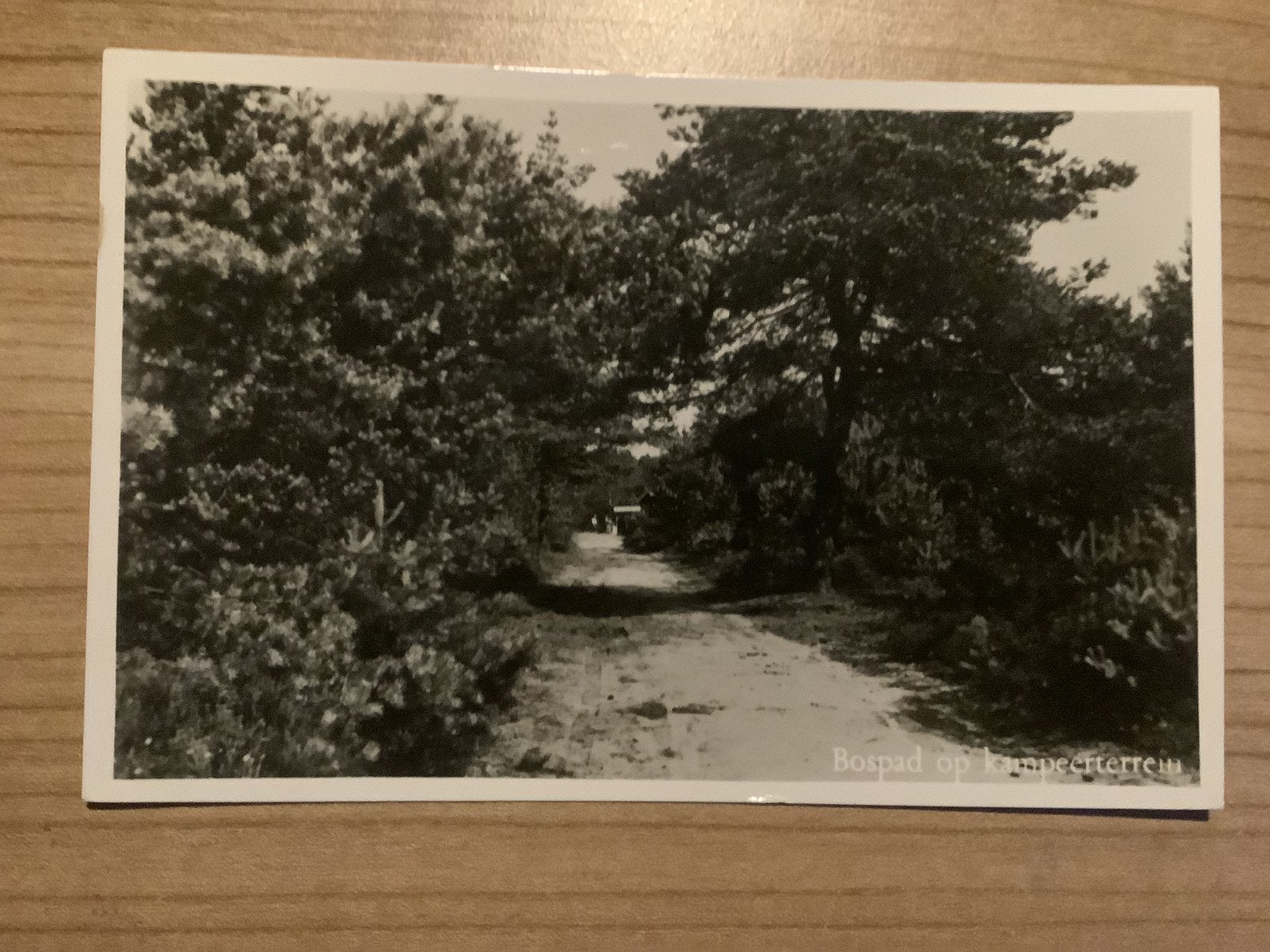 ansichtkaart Beekbergen, Verzenden, 1940 tot 1960, Gelopen, Gelderland