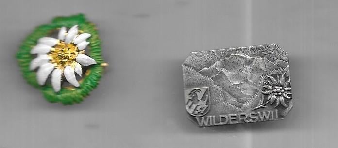 2 EDELWEISS BLOEMEN SPELDEN, Ophalen of Verzenden, Gebruikt, Dier of Natuur, Speldje of Pin