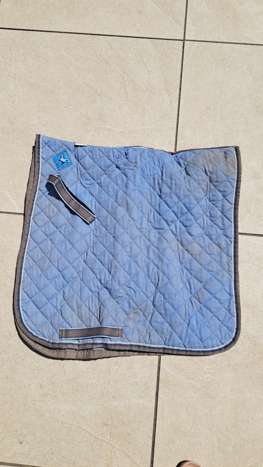 Première dekje dressuur maat full lichtblauw (lavendel), Dieren en Toebehoren, Ophalen