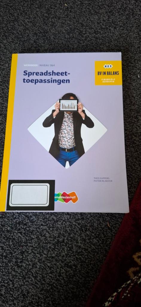 Werkboek Spreadsheettoepassingen BV in Balans MBO, Theo Suppers, Pieter Mijnster, Ophalen of Verzenden, Zo goed als nieuw, MBO