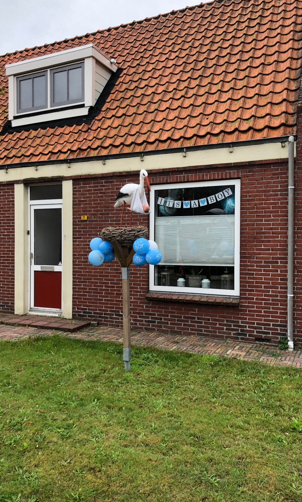 Te huur ooievaarsnest, Ophalen, Nieuw