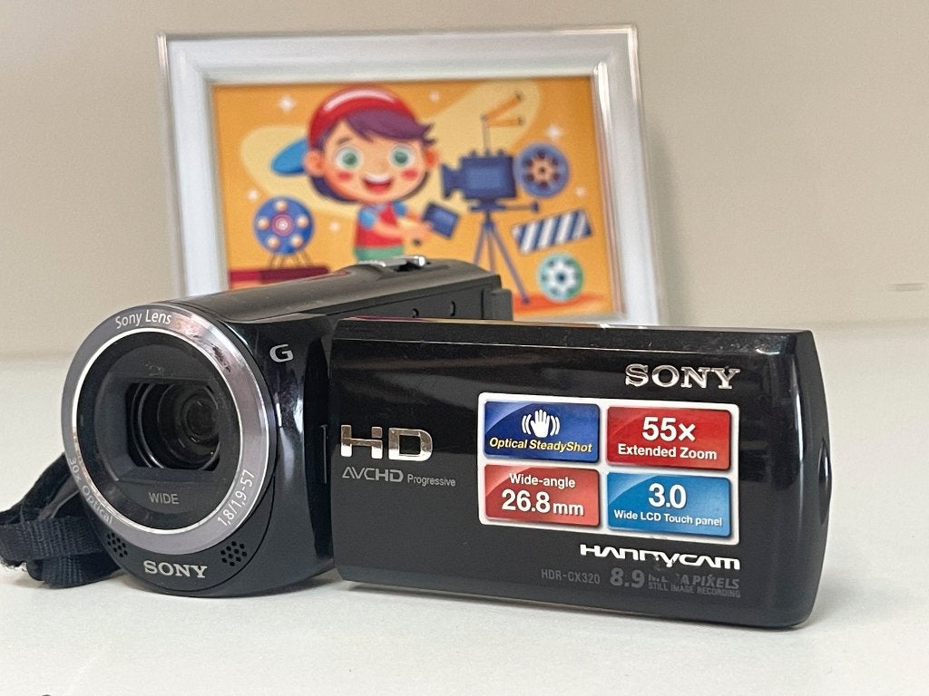 SONY HDR-CX320E Serie 3119738, Full HD, N, N, 20x of meer