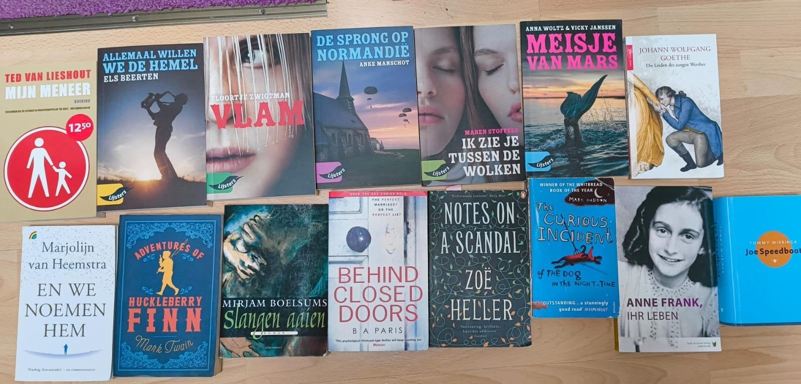 Diverse boeken: Lijsters, Engels, Duits, leeslijst havo/vwo, Boeken, Ophalen of Verzenden, Gelezen, Nederland