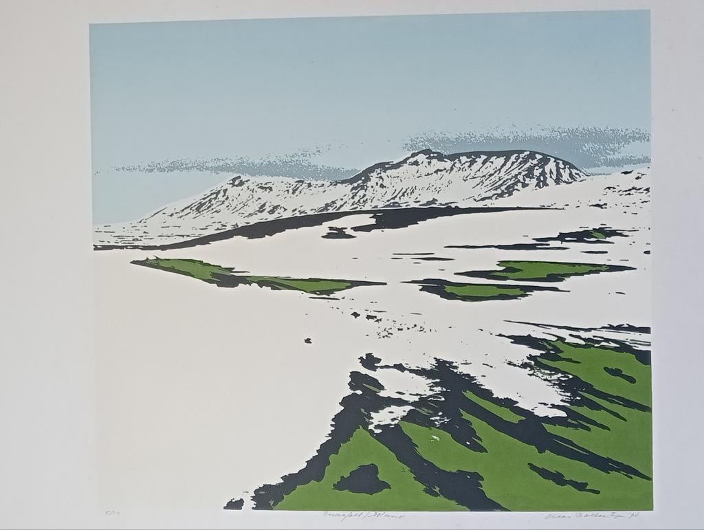 Kees Ballintijn Zeefdruk/Lithografie Landschap 1996, Antiek en Kunst, Kunst | Litho's en Zeefdrukken, Ophalen of Verzenden