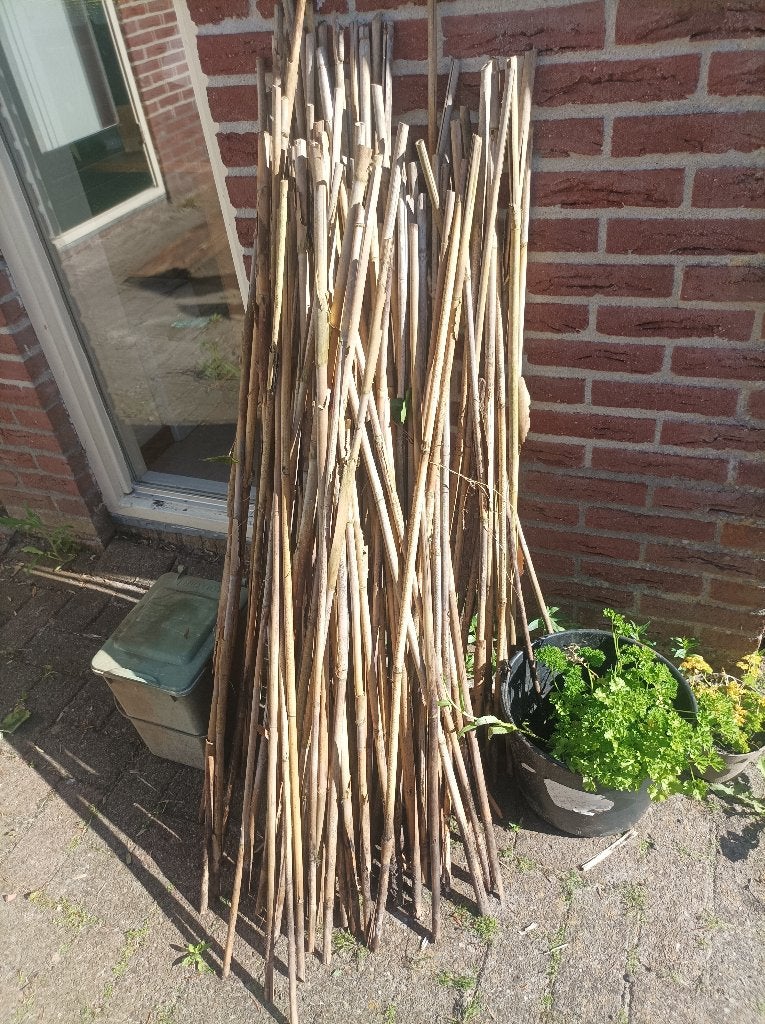 bamboestokken, Tuin en Terras, Palen, Balken en Planken, Ophalen, Zo goed als nieuw, Minder dan 180 cm, Palen