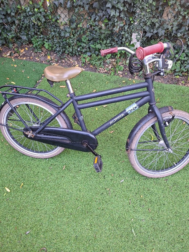 Kinderfiets 20 inch, Ophalen, Terugtraprem, Alpina, 16 tot 20 inch