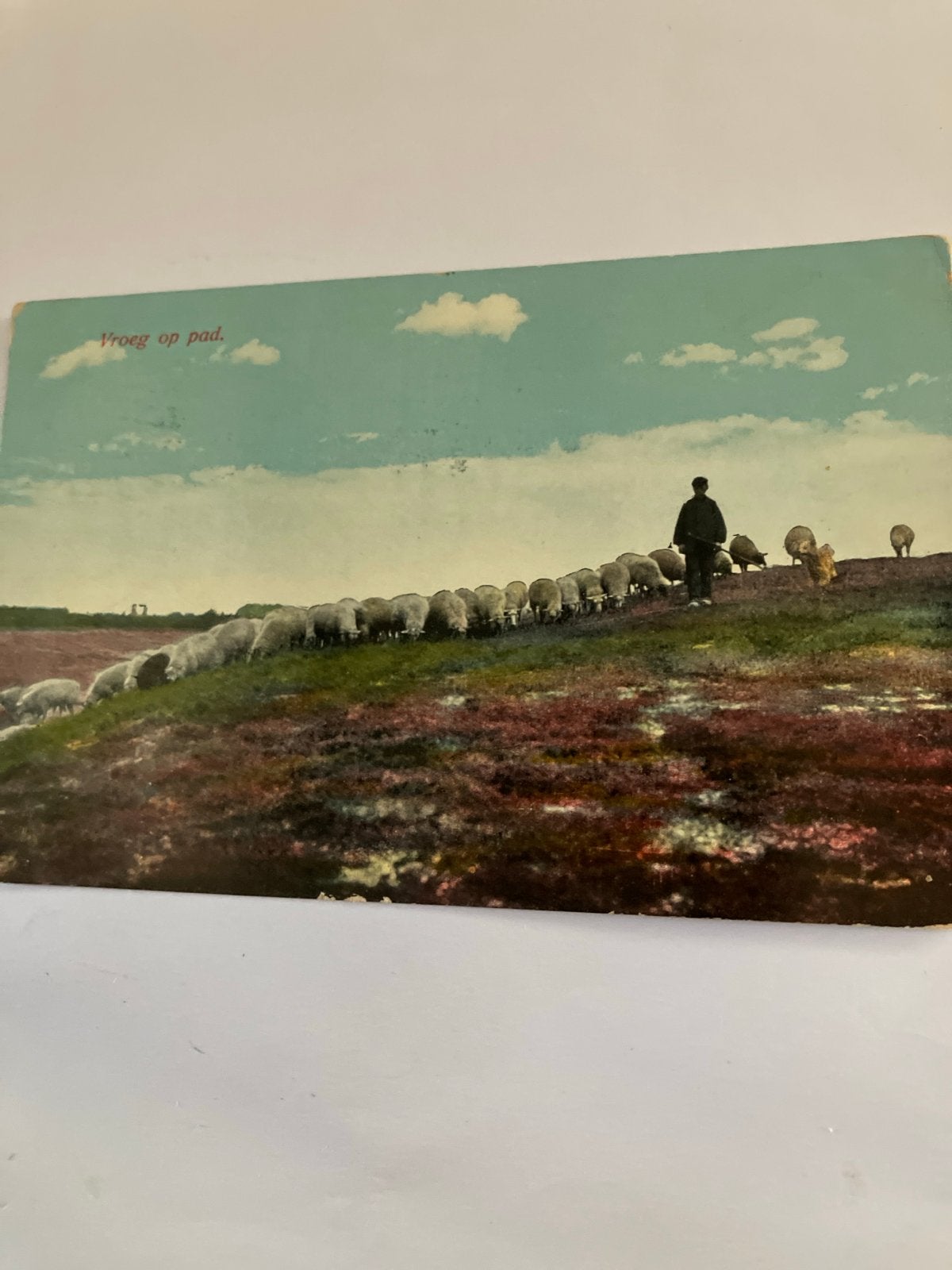Oude Ansichtkaart 'Vroeg op pad' - Schaapherder met kudde, Ophalen of Verzenden, Voor 1920, Gelopen, Noord-Holland