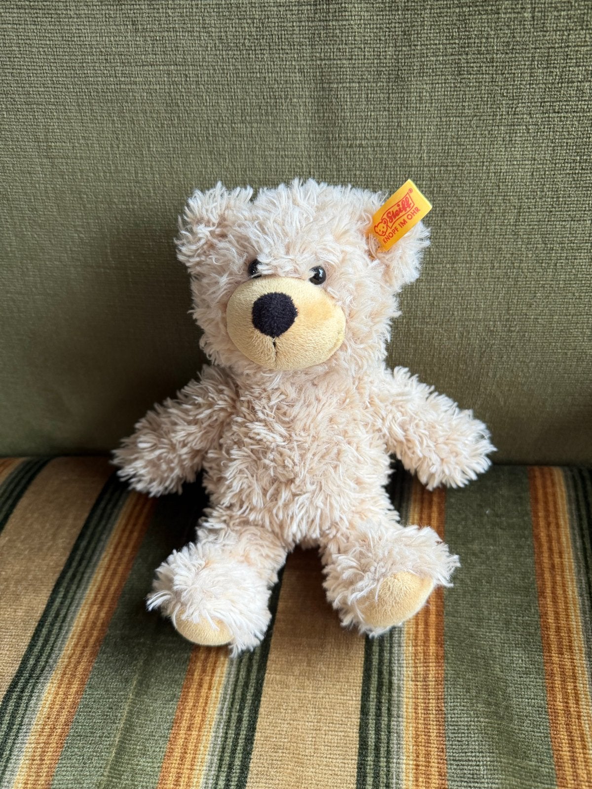 Steiff Charly Teddybeer 012815 - Zo goed als nieuw, Overige merken, Overige karakters, Beer, Ophalen of Verzenden