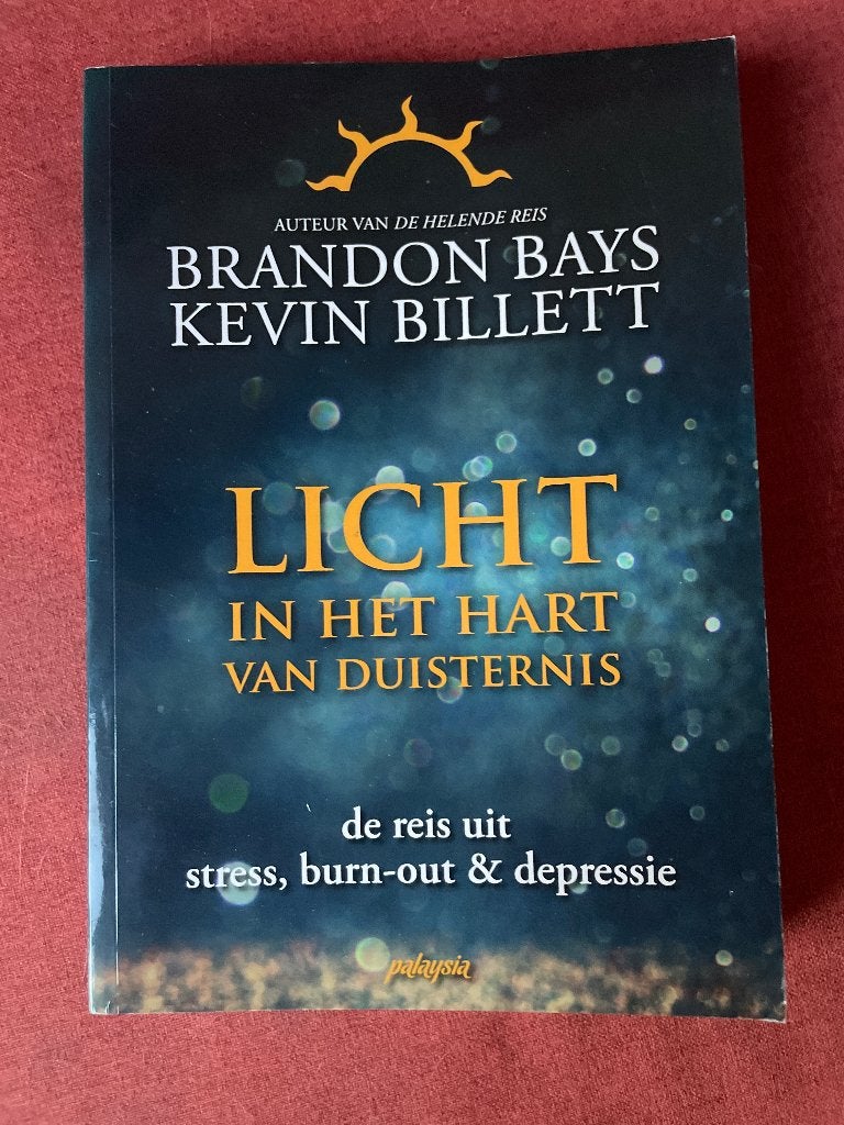 Licht in het hart van de duisternis, Boeken, Spiritualiteit algemeen, Brandon Bays, Overige typen, Ophalen of Verzenden