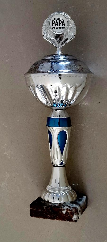 Leuke trofee "beste papa van de wereld ", Verzenden, Gebruikt, Overige typen, Overige