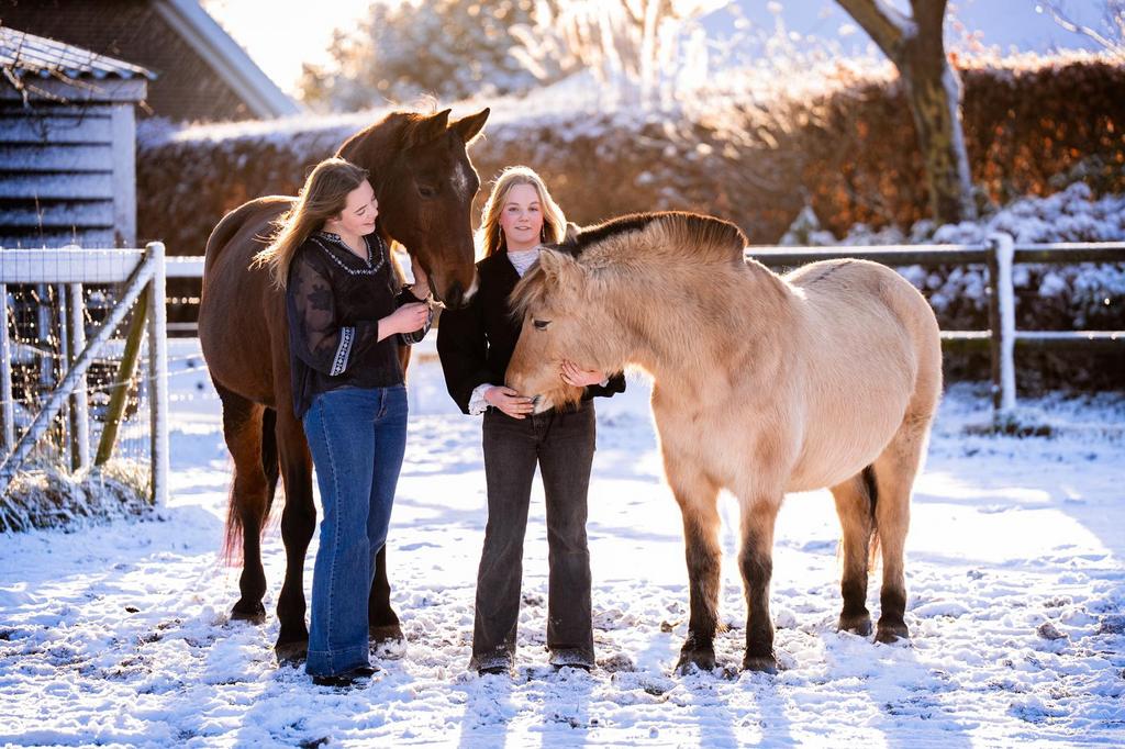 Stalhulp, Dieren en Toebehoren, Toebehoren