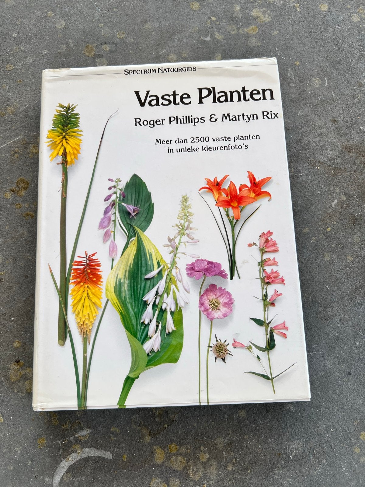 Vaste Planten - Roger Phillips & Martyn Rix (Spectrum Natuur, Boeken, Ophalen of Verzenden, Gelezen, Tuinieren en Tuinplanten