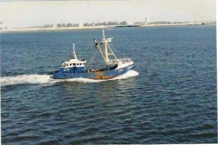 Visserij, Verzamelen, Ophalen of Verzenden, Nieuw, Kaart, Foto of Prent
