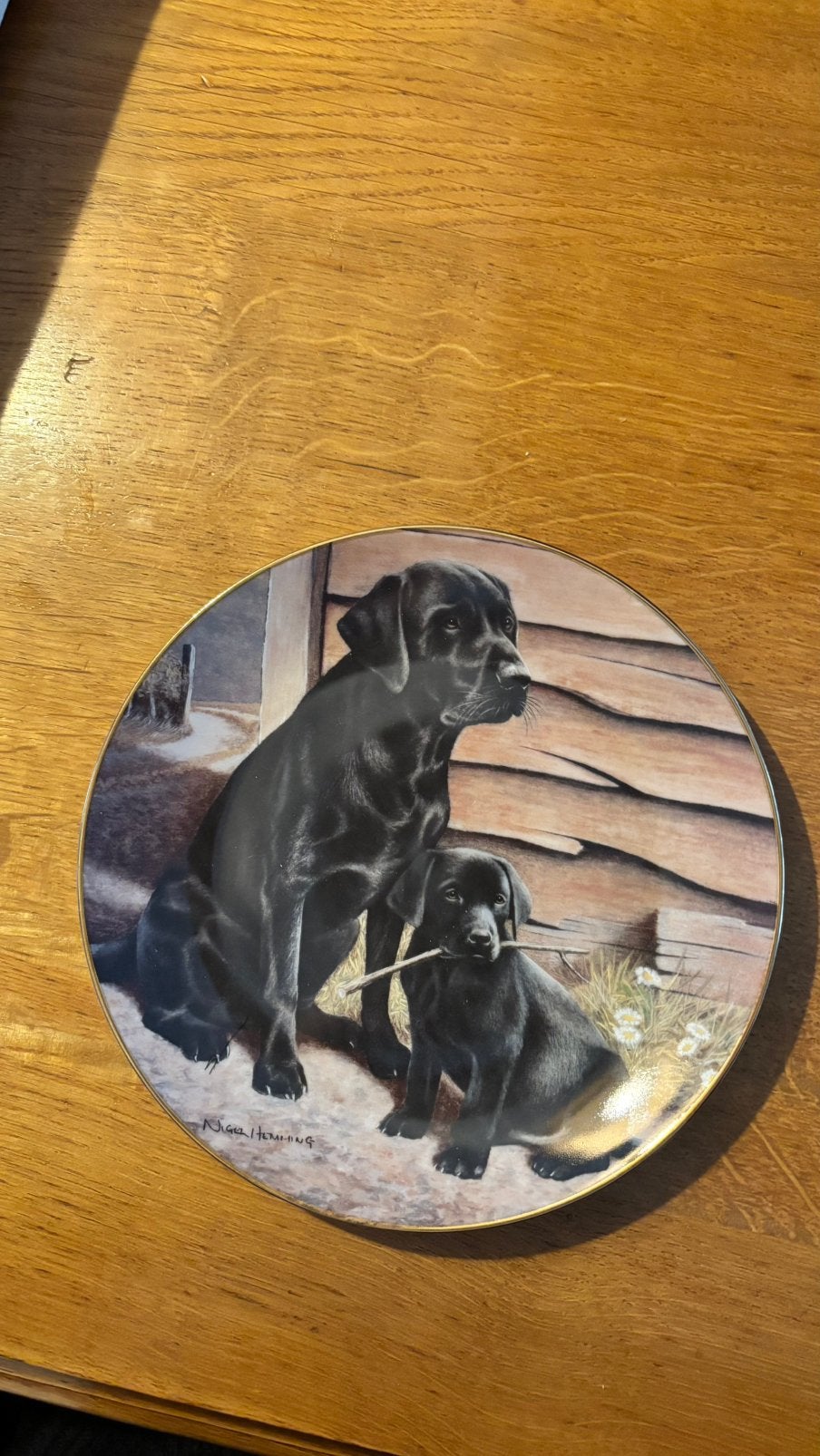 2 mooie wandborden limited edition!, Ophalen of Verzenden, Zo goed als nieuw