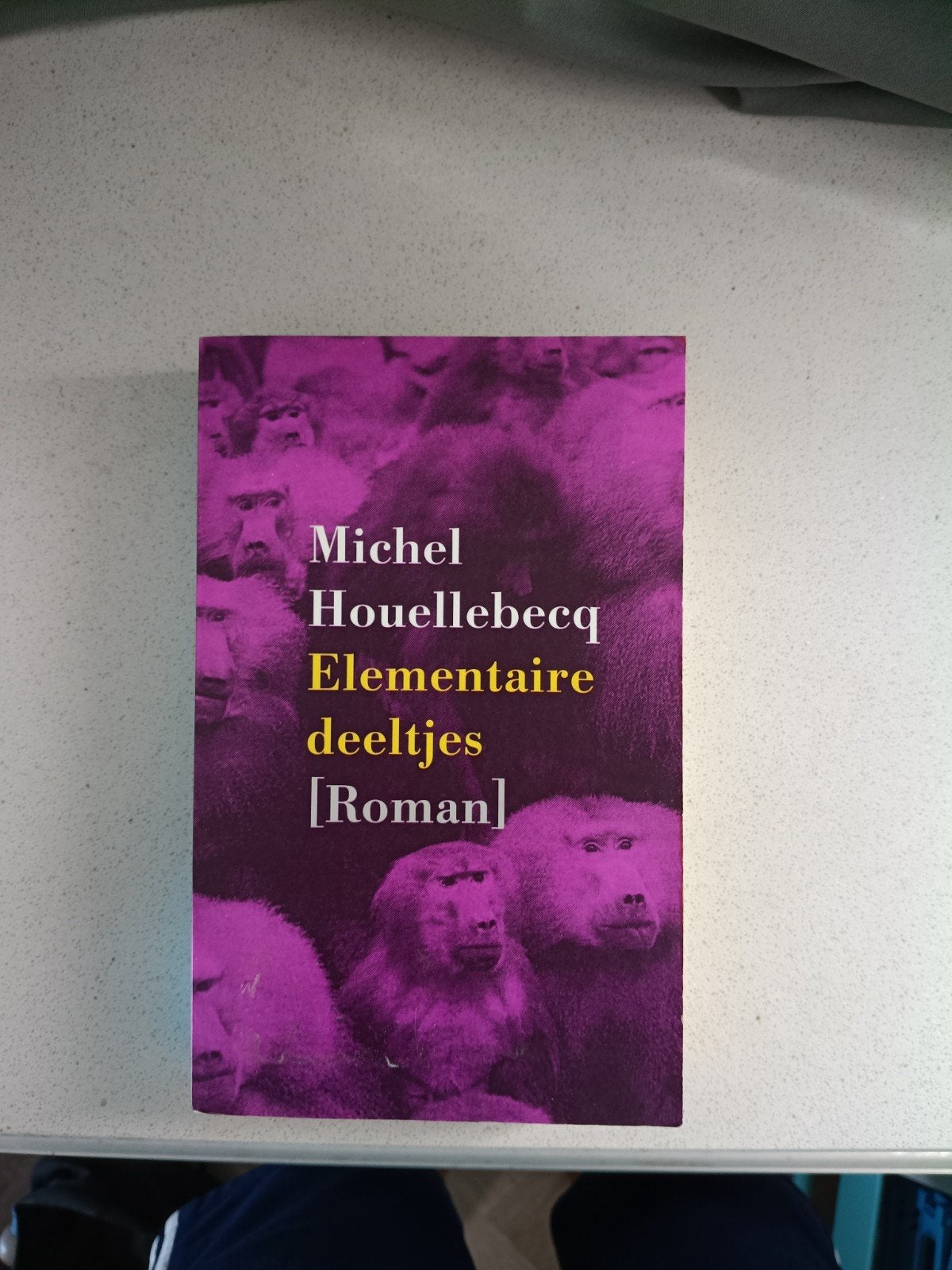 Elementaire Deeltjes - Michel Houellebecq, Boeken, Literatuur, Ophalen of Verzenden, Gelezen, Europa overig