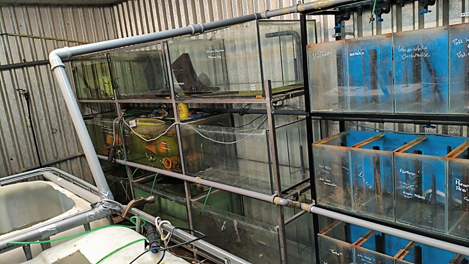 3 meter stelling met 9 aquariums, Dieren en Toebehoren, Ophalen, Gebruikt, Leeg aquarium