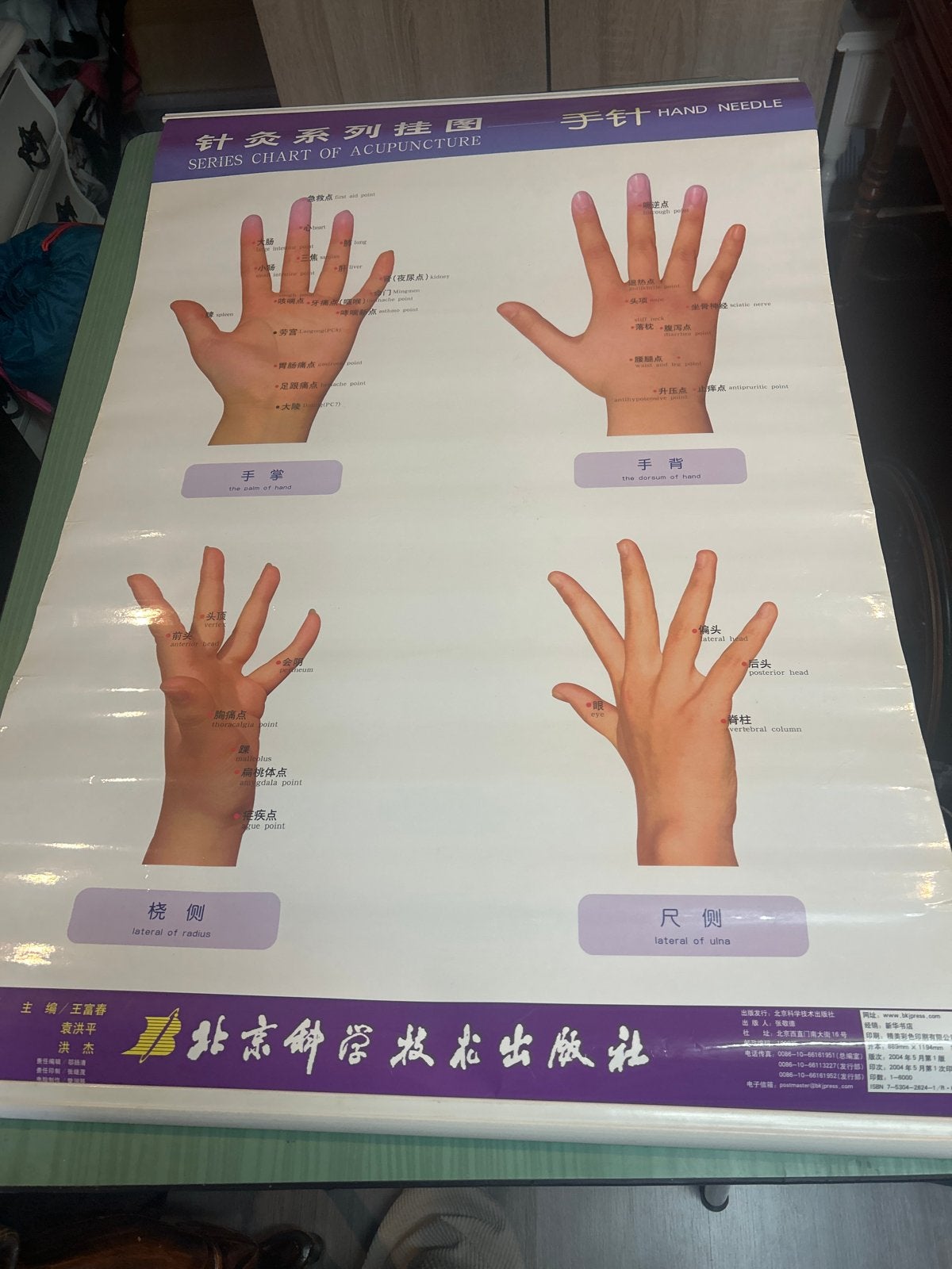 Acupunctuur Punten Hand Poster - Chinese Geneeskunde, Boeken, Ophalen, Nieuw